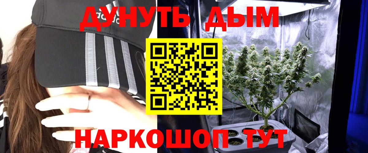 Канабис конопля Кемерово